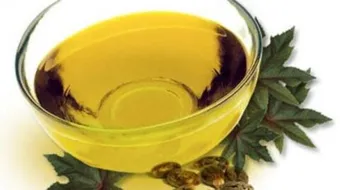 أهمية زيت الخروع للشعر