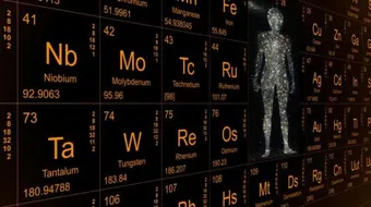 أهمية العناصر في جسم الإنسان