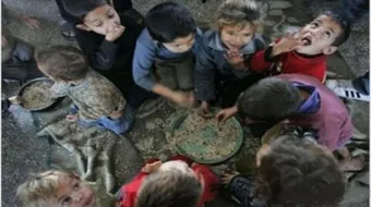 أهمية الأمن الغذائي لدول العالم الثالث