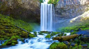 أهمية المطر للكائنات الحية