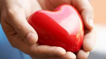 أهمية القلب