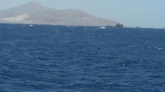 أهمية البحر الأحمر