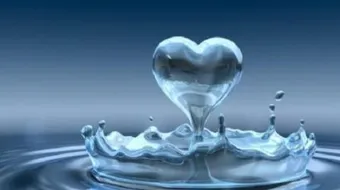 أهمية الماء في الطبيعة