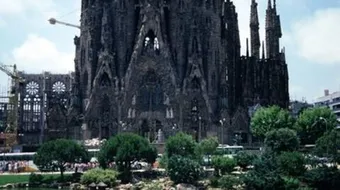 أكبر كنيسة في العالم