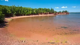 أجمل شاطئ في العالم