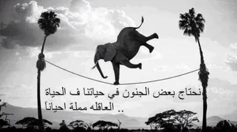 أجمل ما كتب عن الحياة