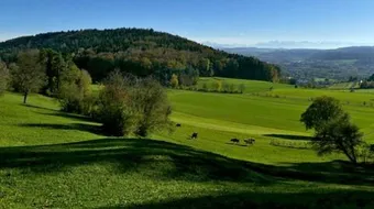 أجمل دول العالم حسب التصنيف العالمي