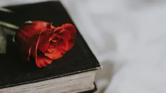 أجمل قصائد الحب والغزل