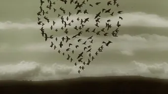 أجمل عبارات الكبرياء