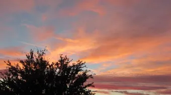 اجمل قصيدة غزل في العصر الاموي