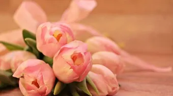 أجمل قصائد نزار قباني في الحب