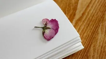 اجمل قصائد المتنبي