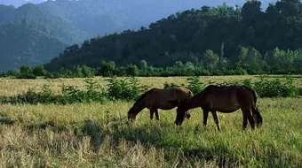 أجمل مناطق إيران