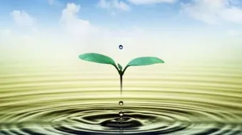 أجمل ما قيل في الحياة