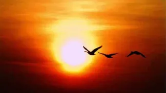 أجمل ما قيل في الدنيا