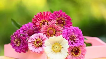 أجمل ما قيل في الوفاء والإخلاص