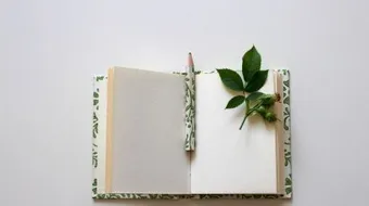 أجمل أبيات شعر