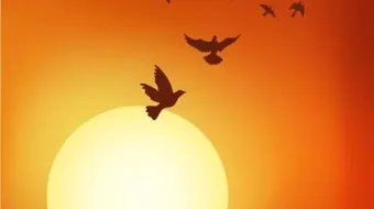 أجمل حكمة عن الحياة