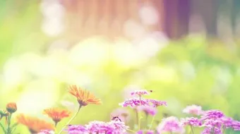 اجمل حكمة سمعتها