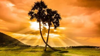 أجمل كلام عن الدنيا