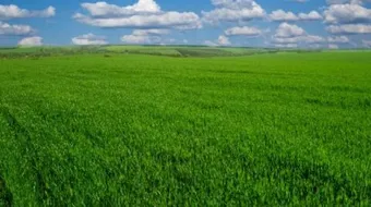 أهم سهول فلسطين الساحلية