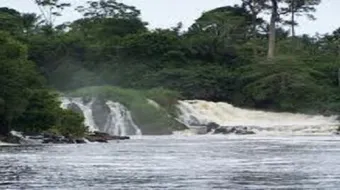 أهم نهر في الكاميرون