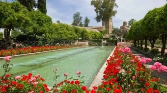 أهم المعالم السياحية في قرطبة