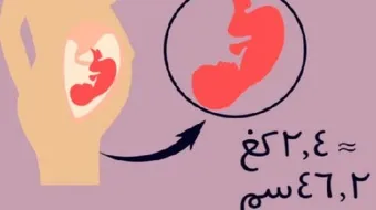 الوزن الطبيعي للجنين في الشهر الثامن