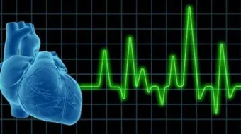 عدد دقات قلب الطفل