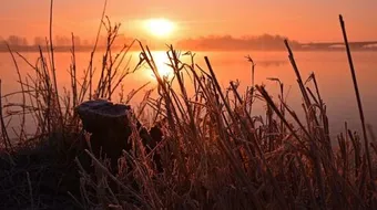 أشعار الإمام الشافعي