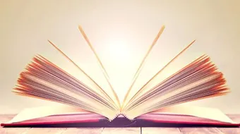 الشاعر البارودي