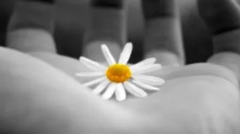 حق الحياة في الإسلام