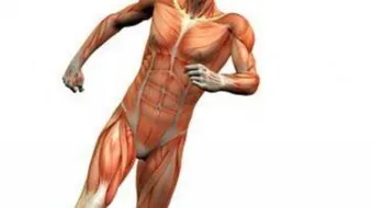 العجائب السبعة في جسم الانسان