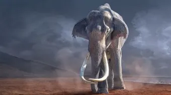 قصة أصحاب الفيل