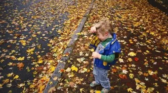 موضوع تعبير عن فصل الخريف