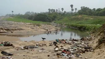 موضوع تعبير عن تلوث نهر النيل