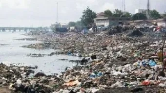 موضوع تلوث البيئة