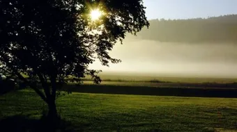 أحلى مسجات الصباح