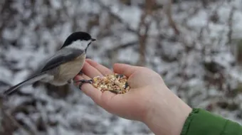 فضل عمل الخير