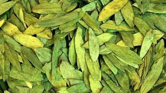 طريقة شرب السنامكي