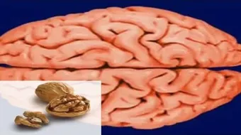 عجائب خلق الله في جسم الإنسان