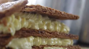 عمل جاتو الميلفيه