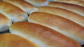 عمل عيش الفينو