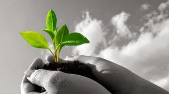 خواطر عن الأمل