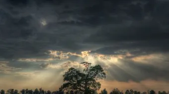 لرفع البلاء (1)