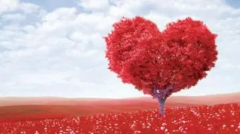 حكم مؤثرة عن الحب