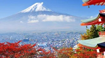 جولة في اليابان