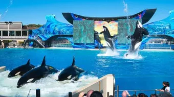 السياحة في كاليفورنيا