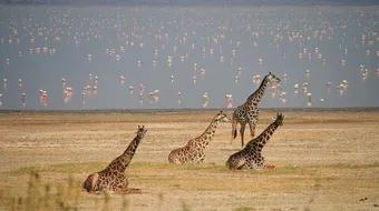 السياحة في تنزانيا