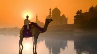 السفر إلى الهند